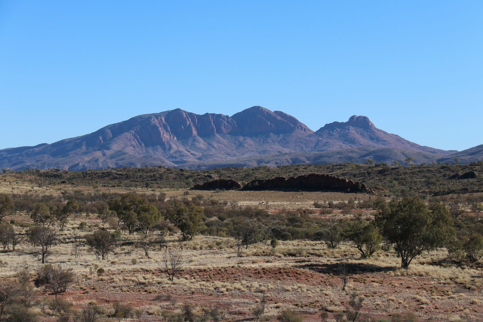 Alice Springs in the Red Centre, PVC fencing supplied, delivered, and installed across the town.