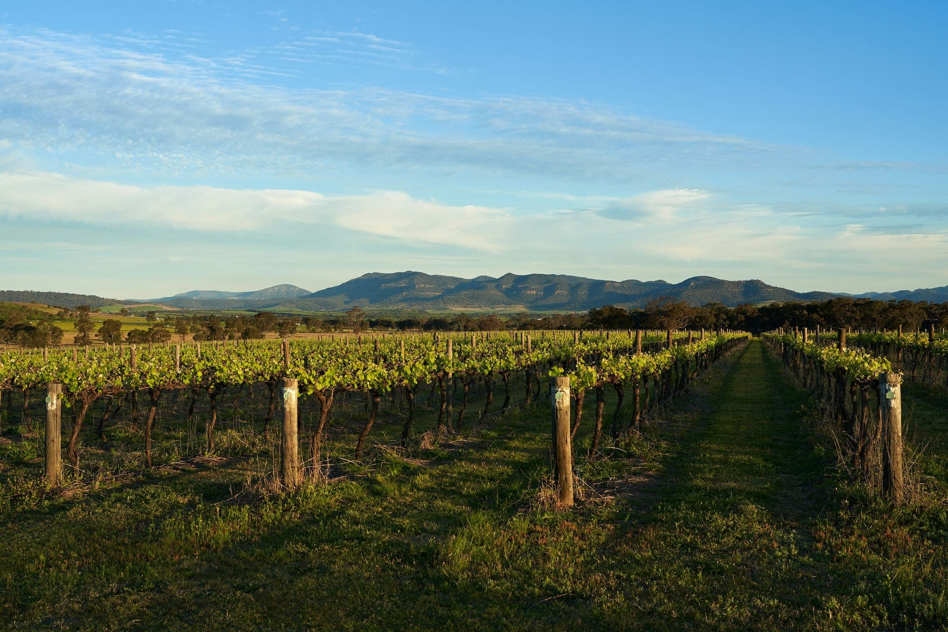 The Hunter Valley wine country, PVC fencing supplied, delivered, and installed across the region.
