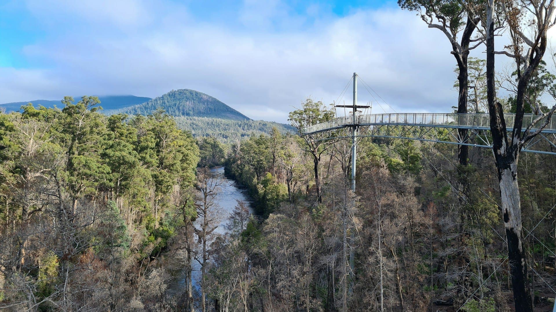 Launceston and northern Tasmania, PVC fencing supplied, delivered, and installed across the region.