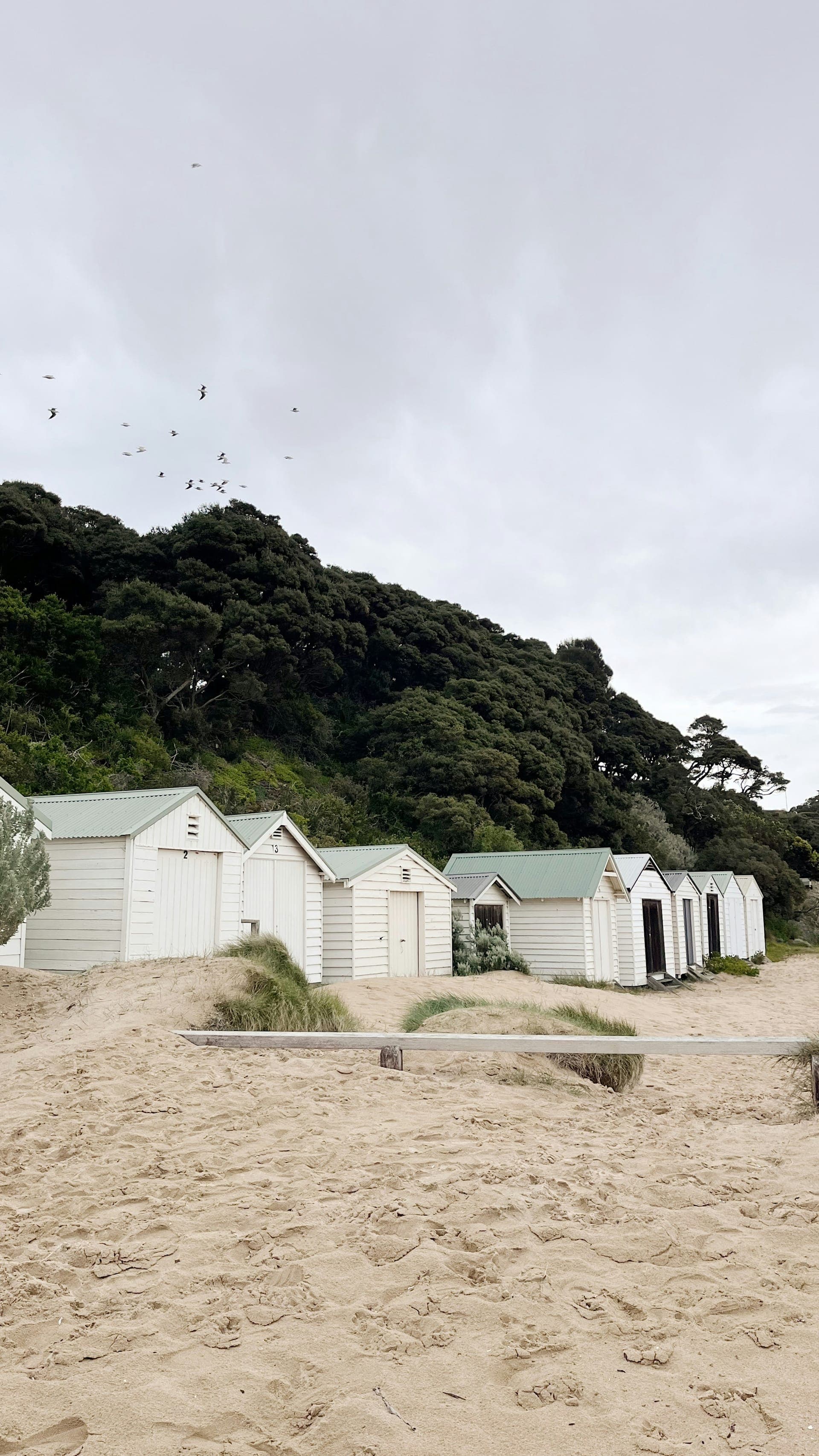 The Mornington Peninsula coast, PVC fencing supplied, delivered, and installed from Mornington to Sorrento.
