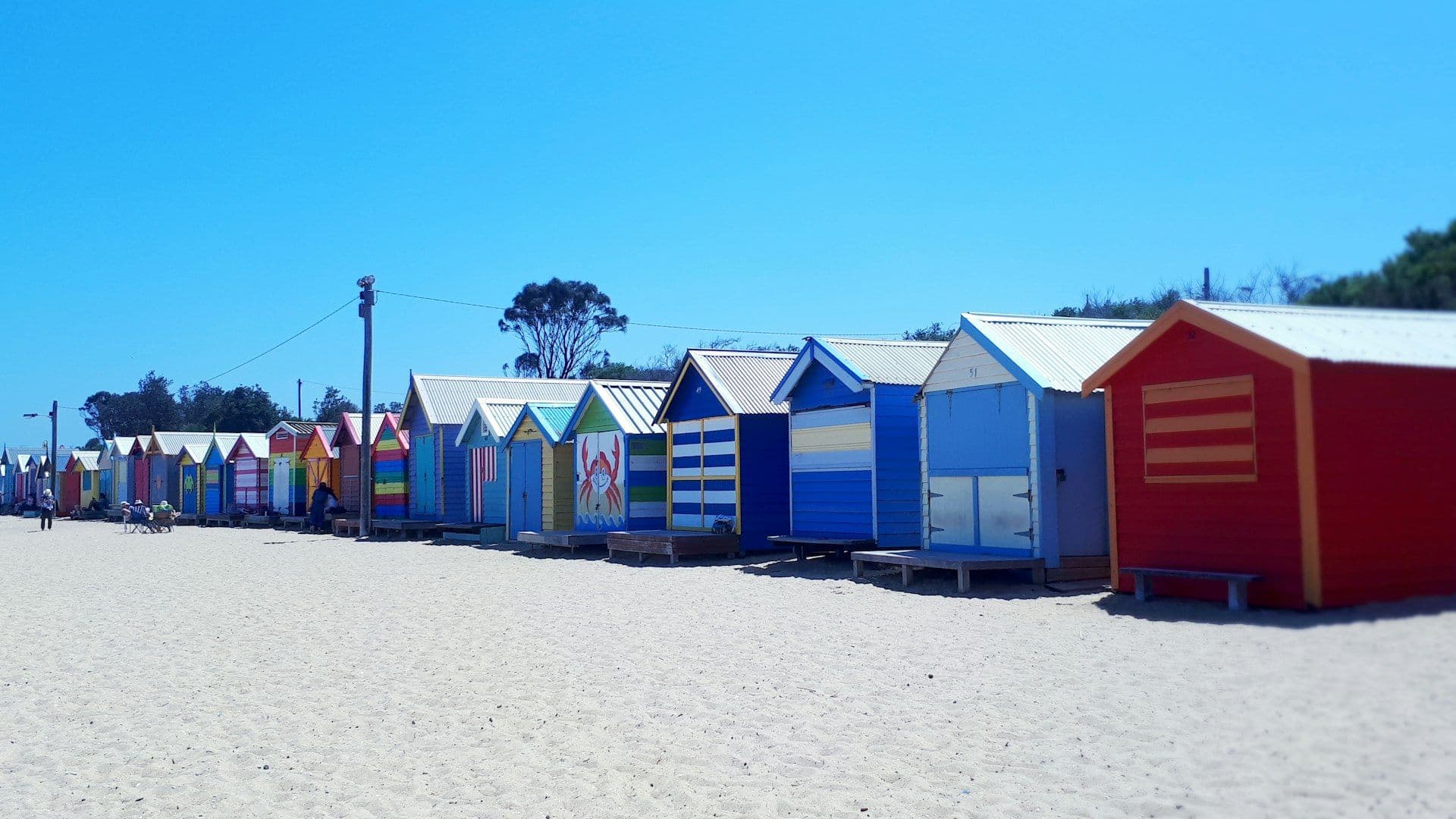Bayside Melbourne, PVC fencing supplied, delivered, and installed across the area.